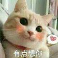 请叫我超萌表情包头像