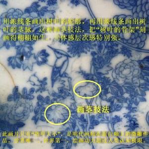 南方翠鸟头像