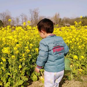 詹么斯的詹头像