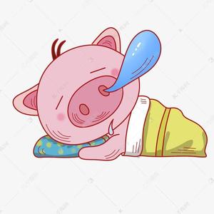 爱sleep的pig头像