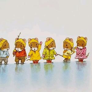 安吉租房飞飞 头像