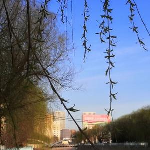 寒山162607080头像