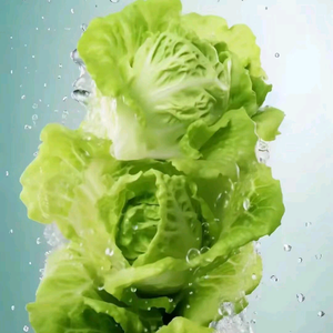 凌霄花头像
