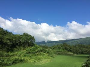 木笛轻音乐头像