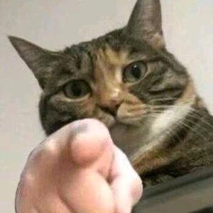 番茄4323753662616927头像