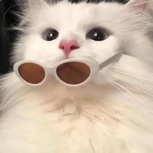 不吃香菜头像