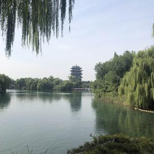 超级奶爸曹哥头像