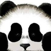 才思敏捷的aximide头像