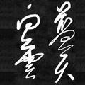 淮安樱花散人头像