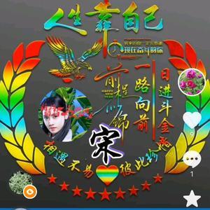 宋**头像