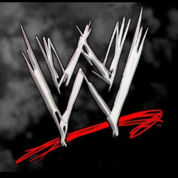 wwe睿力解说头像