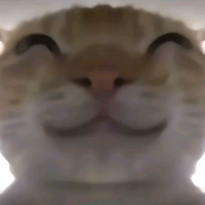 土坡看羊群头像