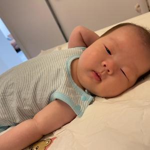 敦敦不是p30头像