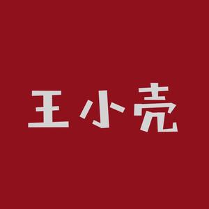 王小壳数码头像