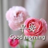 前路有光莫忘初心头像