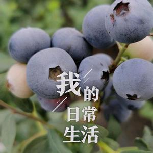 王老师说蓝莓头像