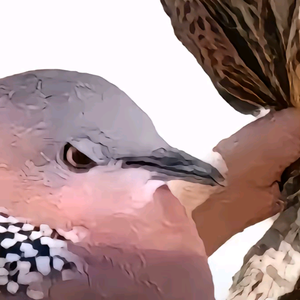 8D環繞音樂工作室头像