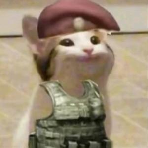 爱玩AK的阿猫头像