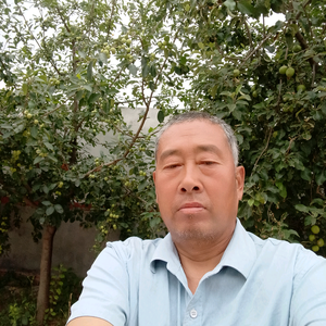 追梦（9：10首播）头像