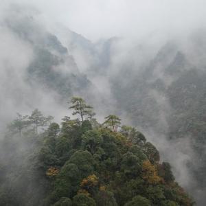 冰山摄影头像