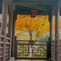 聪明一时17头像