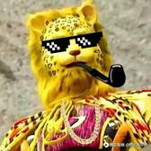 金钱豹家族老大头像