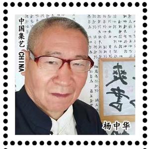 央视爽书头像