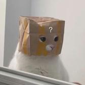 咕噜咕噜啦啦啊啊头像