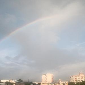 鱼沒有眼泪头像