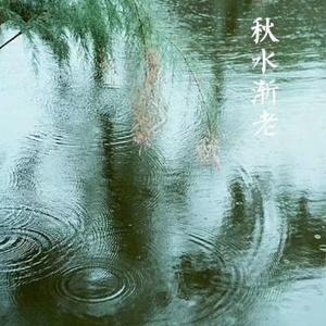 塔上望月LYF头像
