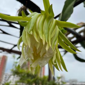 阿悦悦悦的日常头像