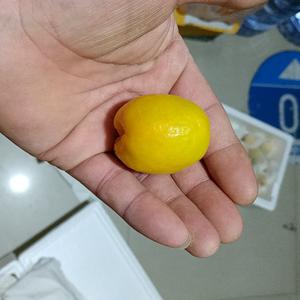 成数头像