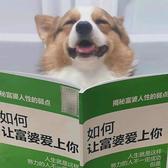 人间清醒李安然头像