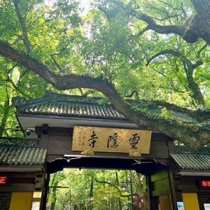 归还于人海头像