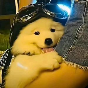 屋檐下的清风1头像