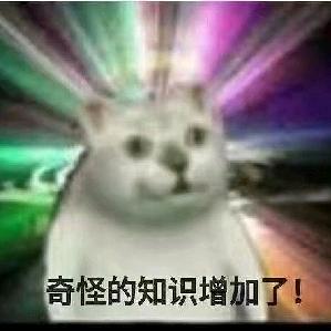 一个肥肚皮头像