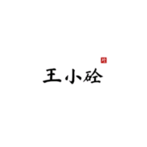 王小砼头像