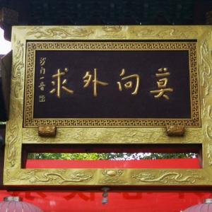 Q爱旅行的双鱼座头像