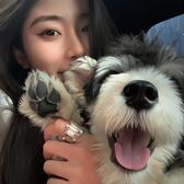 喇叭胖子hu头像