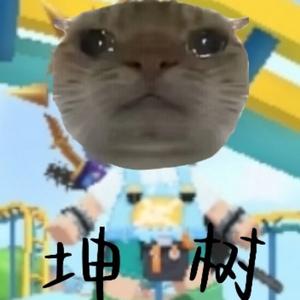 小白神哥头像