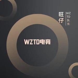 WZTD旺仔头像