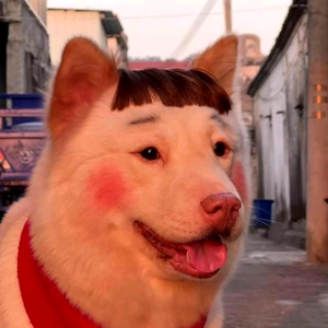 DA发头像