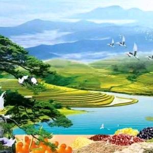 诗小白头像