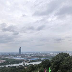 非标-Otis头像