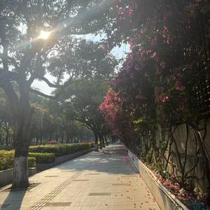 大白鲨石头头像