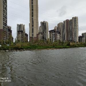 小李广花虫头像