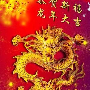 琴又琴头像