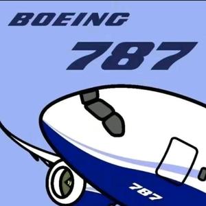 一架盘旋中的波音787头像