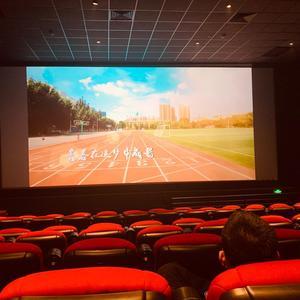 萌新萌老师头像