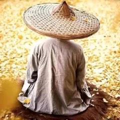 慎独侃视人生头像